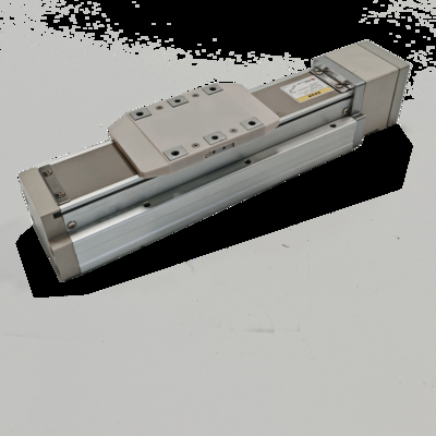 Efficient Logistics Sorting EGT 160 Synchronous Belt Linear Stage Strong Load Capacity